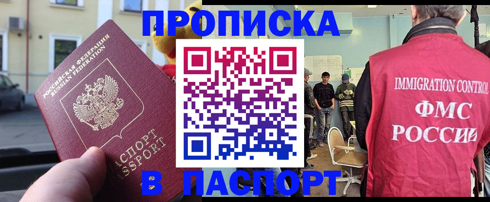временная регистрация поиск в Камчатском крае